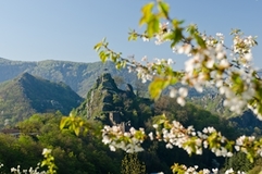 Altenahr2 ©Rheinland-Pfalz Tourismus GmbH