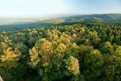 Bad Durkheim7 ©Rheinland-Pfalz Tourismus GmbH