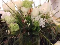 Blume