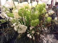 Blume