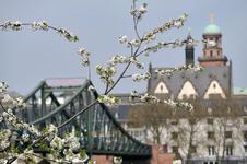 Brücke-Eisener-Steg-und-Paulskirche - Copyright-visitfrankfurt Holger-Ullmann