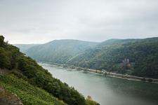 Monteurzimmer Rheingau