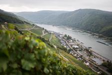 Monteurzimmer Rheingau