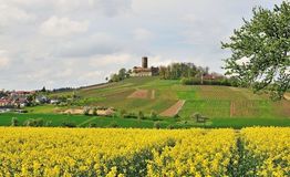 Sinsheim ©Stadtverwaltung Sinsheim